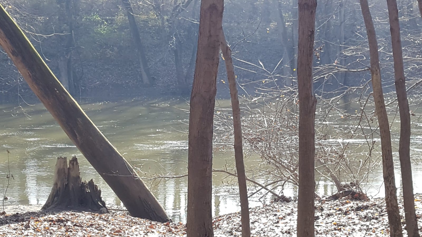 Maumee Trailhead