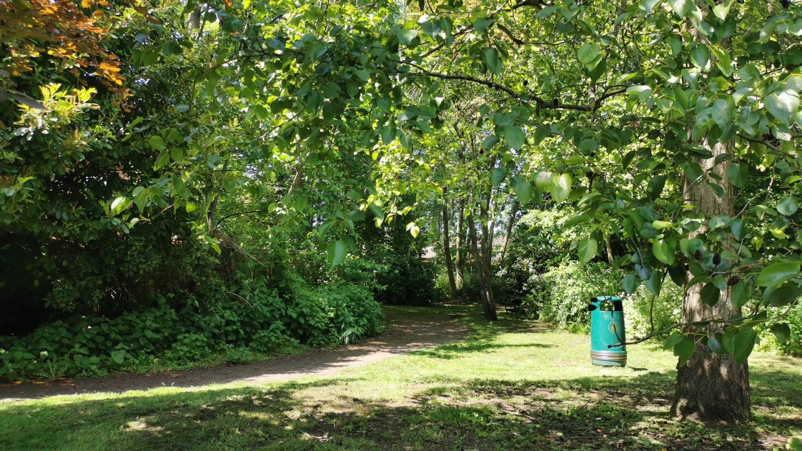 West End Street Park