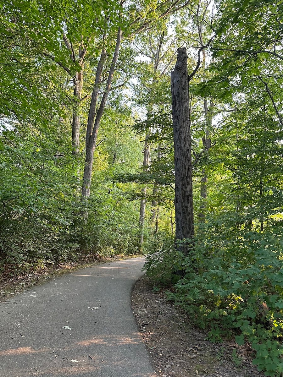 Shoaff Park Playground, photo 4