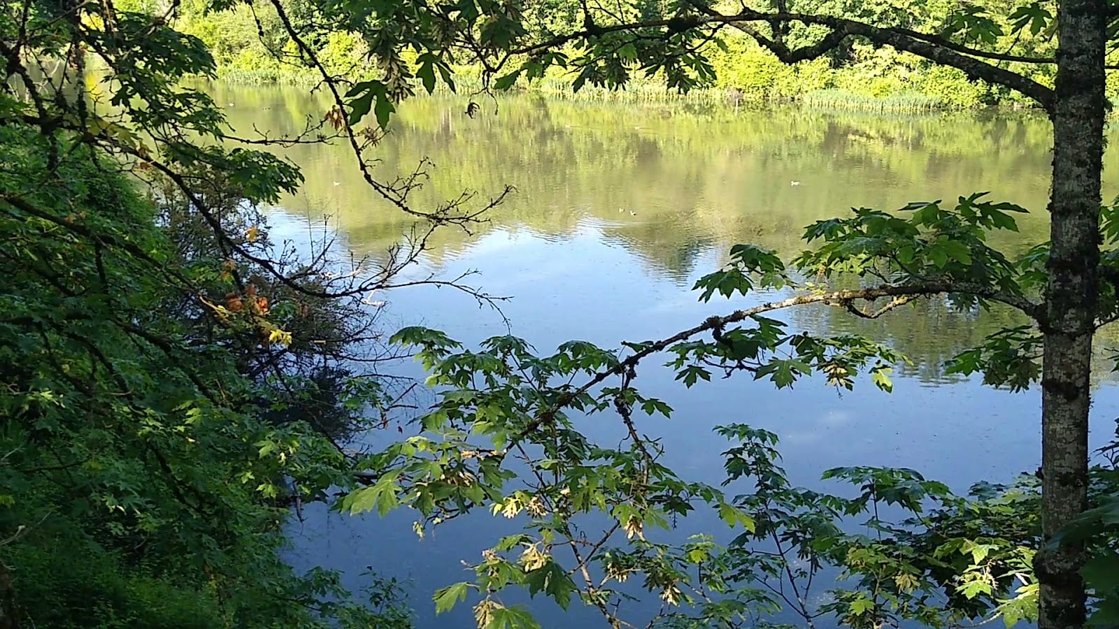 Robert Kronberg Park, photo 3