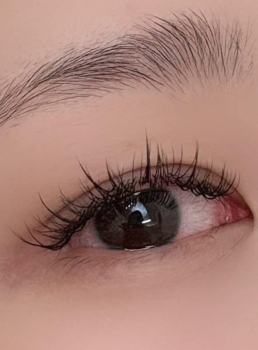 Lash by song