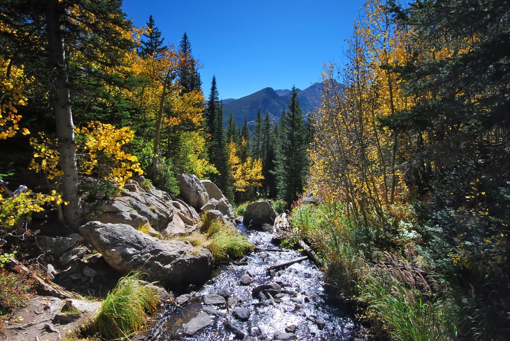 Tom Thomas Realtor at First Colorado Realty - Estes Park