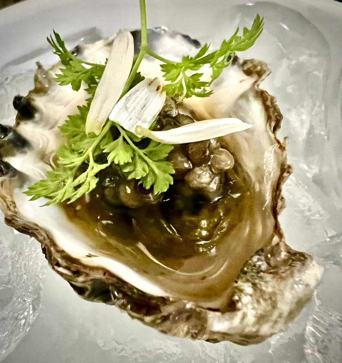 The Hummingbird Way Oyster Bar