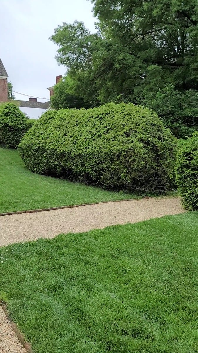 William Paca House & Garden, photo 3