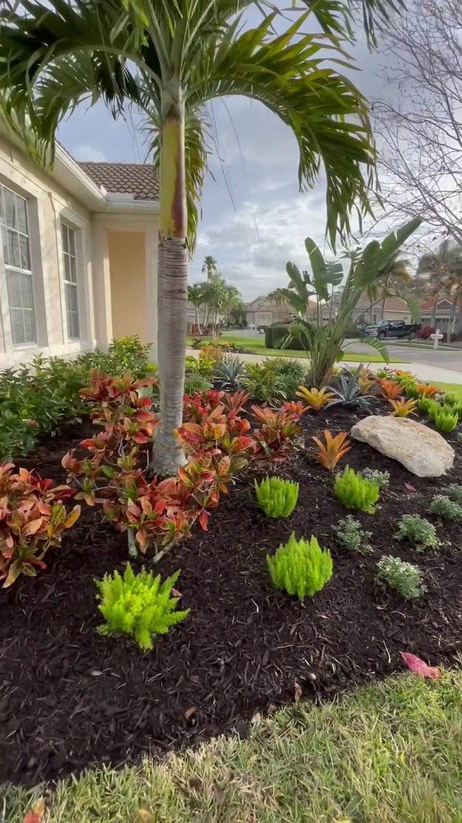Cayo Coco Landscaping LLC, photo 3