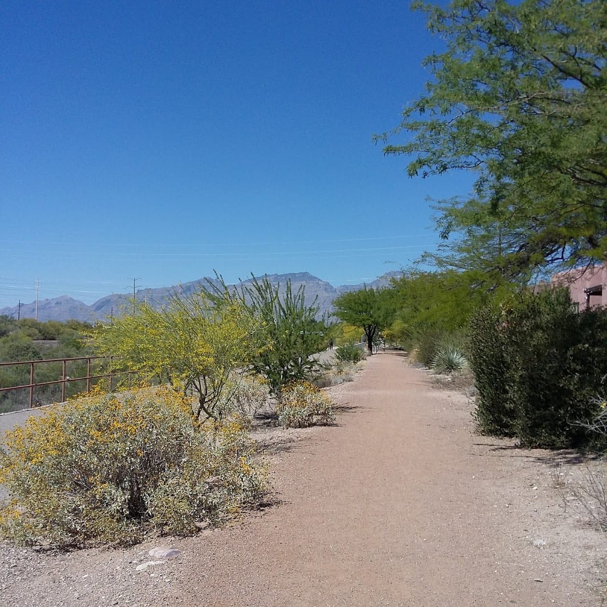 Pantano Wash Path