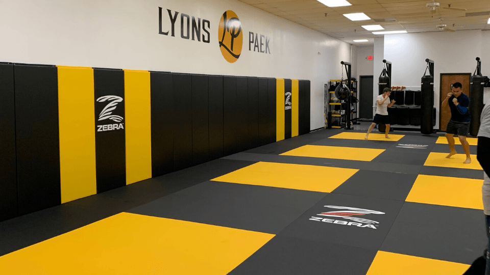 LP Martial Arts, photo 2