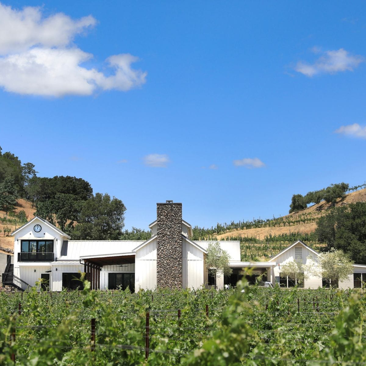 Baldacci Family Vineyards, photo 2