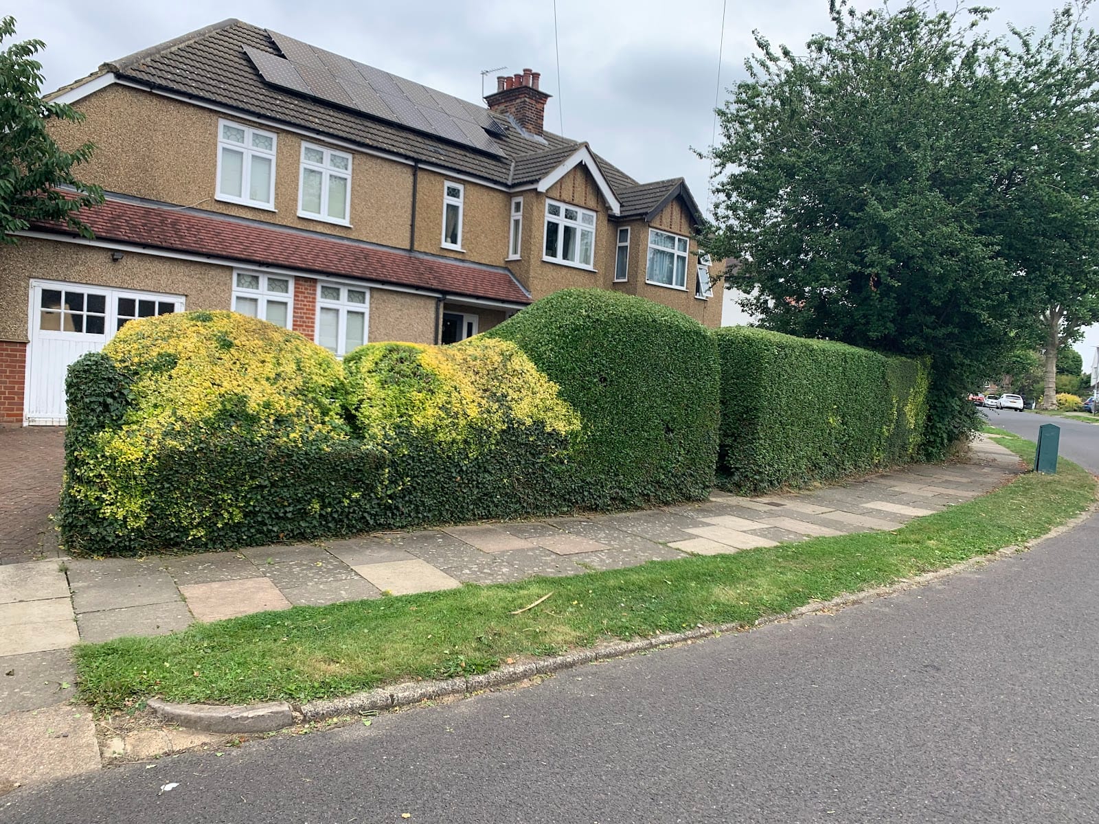 Gardening for St Albans