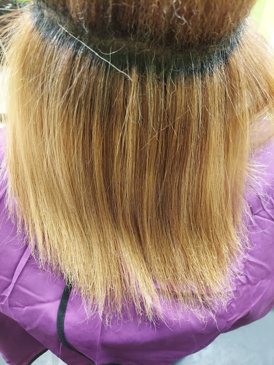Salon Genesis