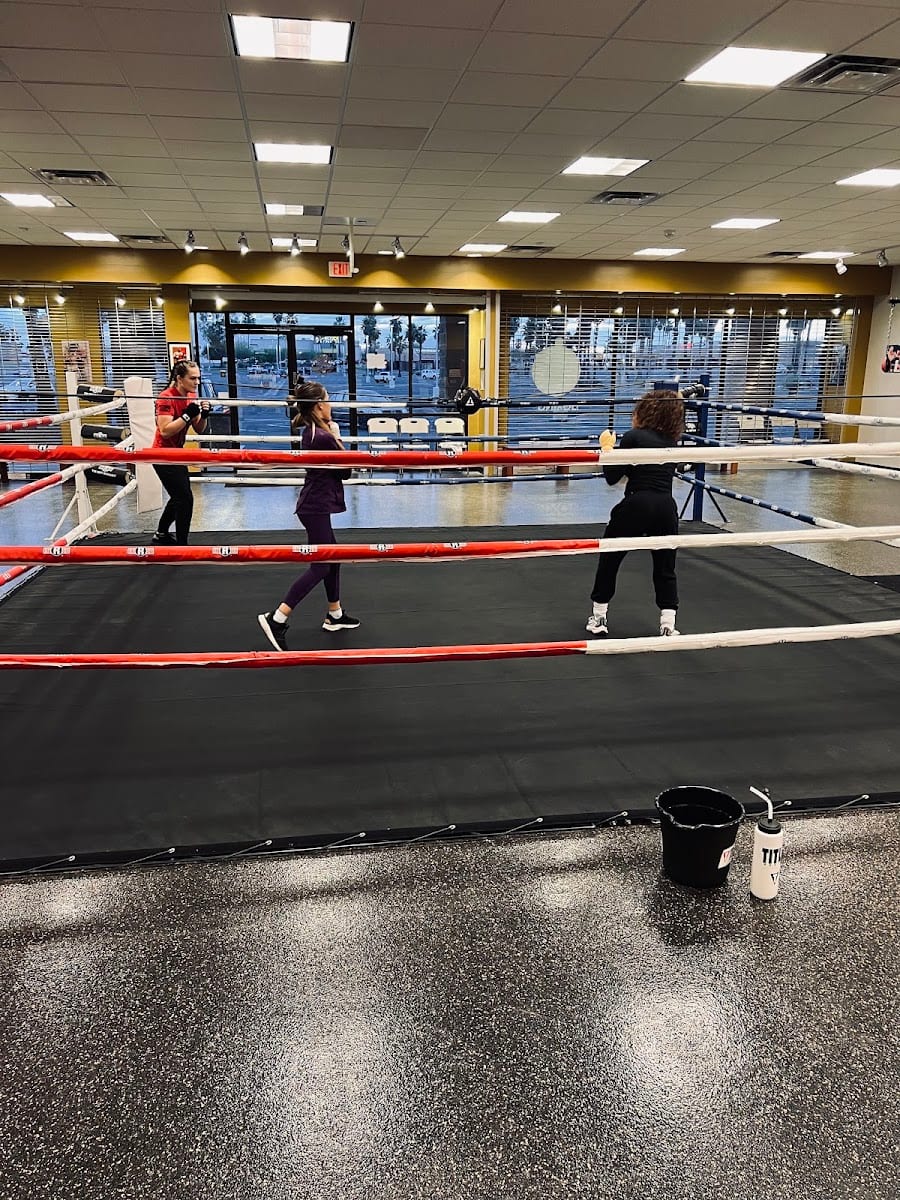 Sweet Science Boxing 520