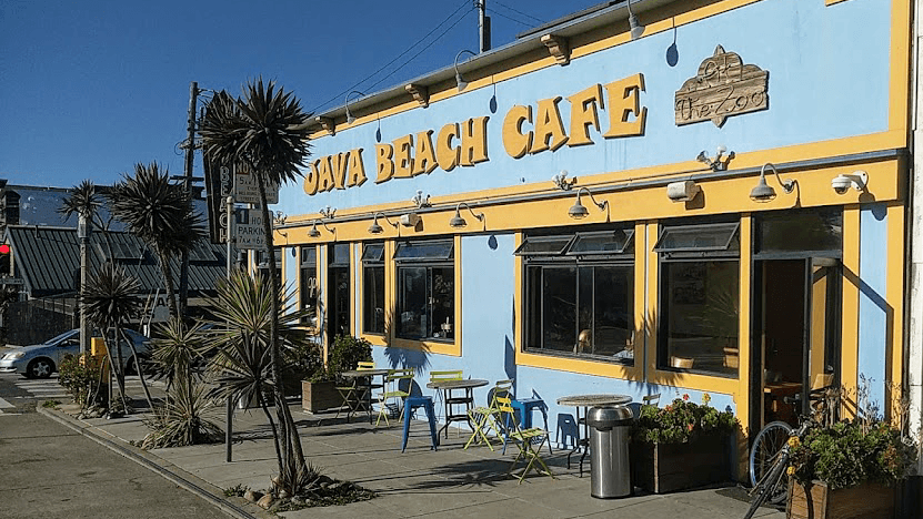 Java Beach At The Zoo, photo 2