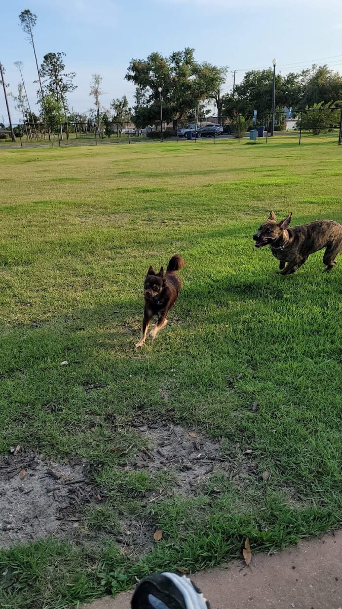Al Helms Dog Park
