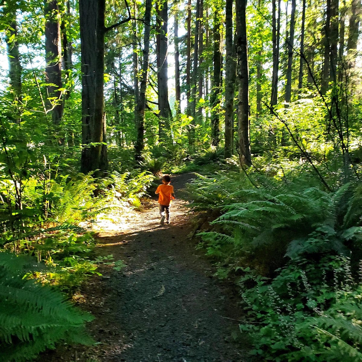 Margaret McKenny Park, photo 3