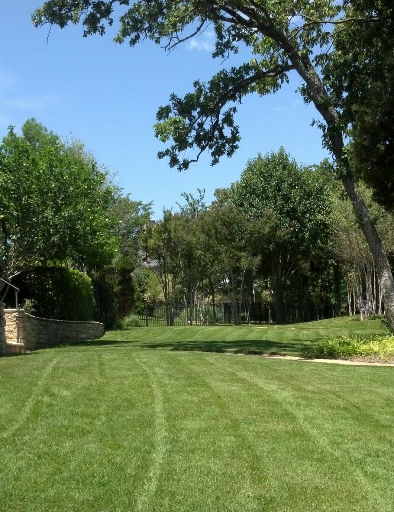 Lake Cities Landscaping
