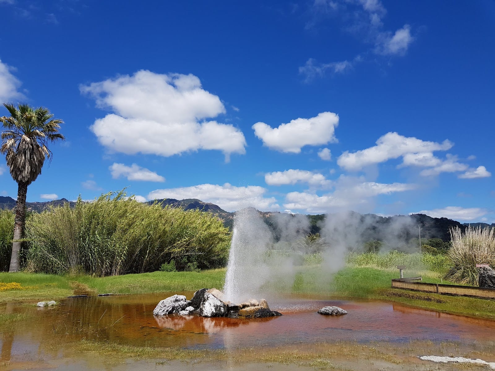 Old Faithful Geyser of California, photo 2
