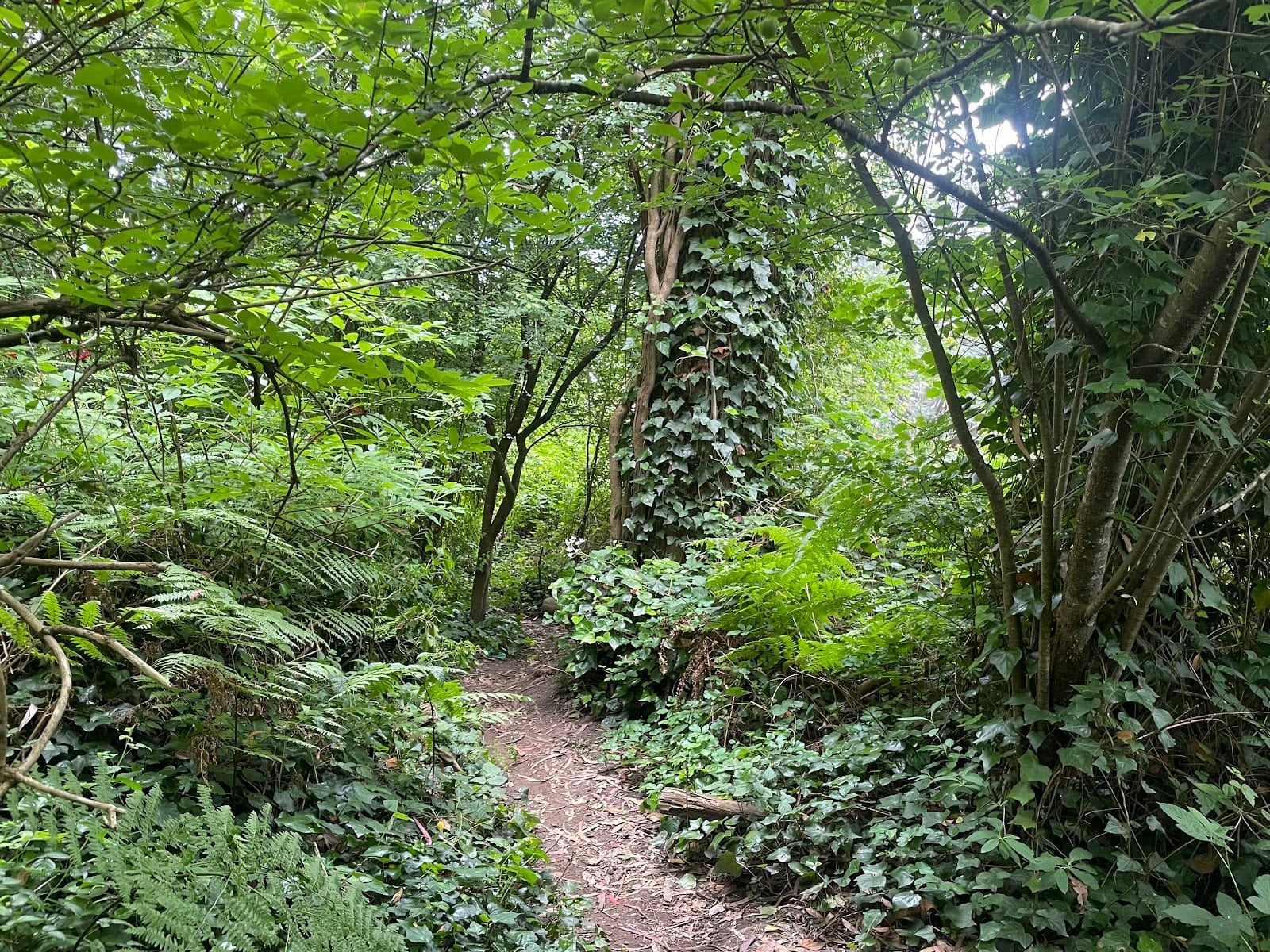Fairy Gates Trailhead