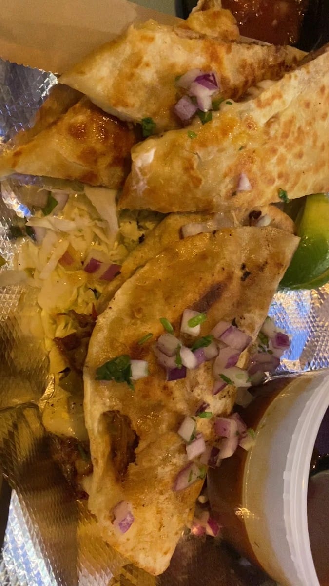 Baja Sharkeez, photo 2