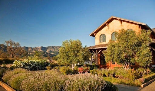 Envy Wines