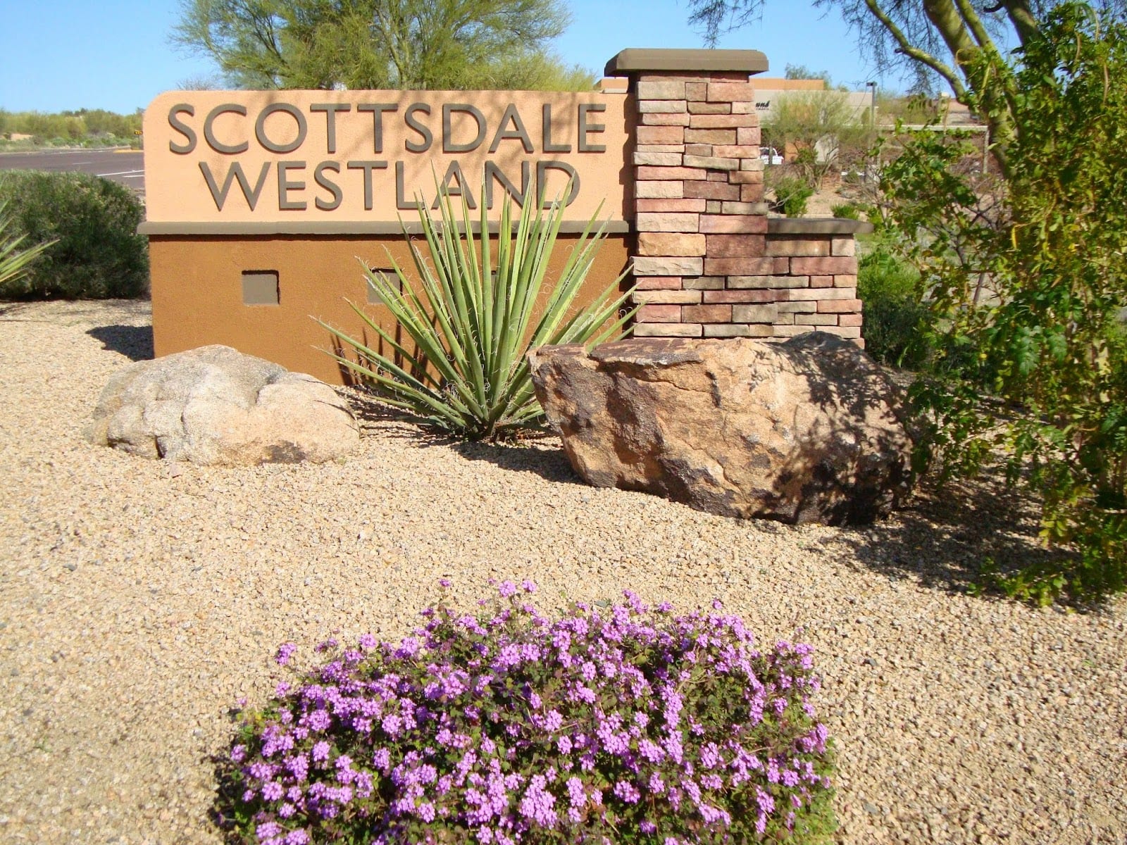 Dentistry and Facial Aesthetics at Westland, photo 4