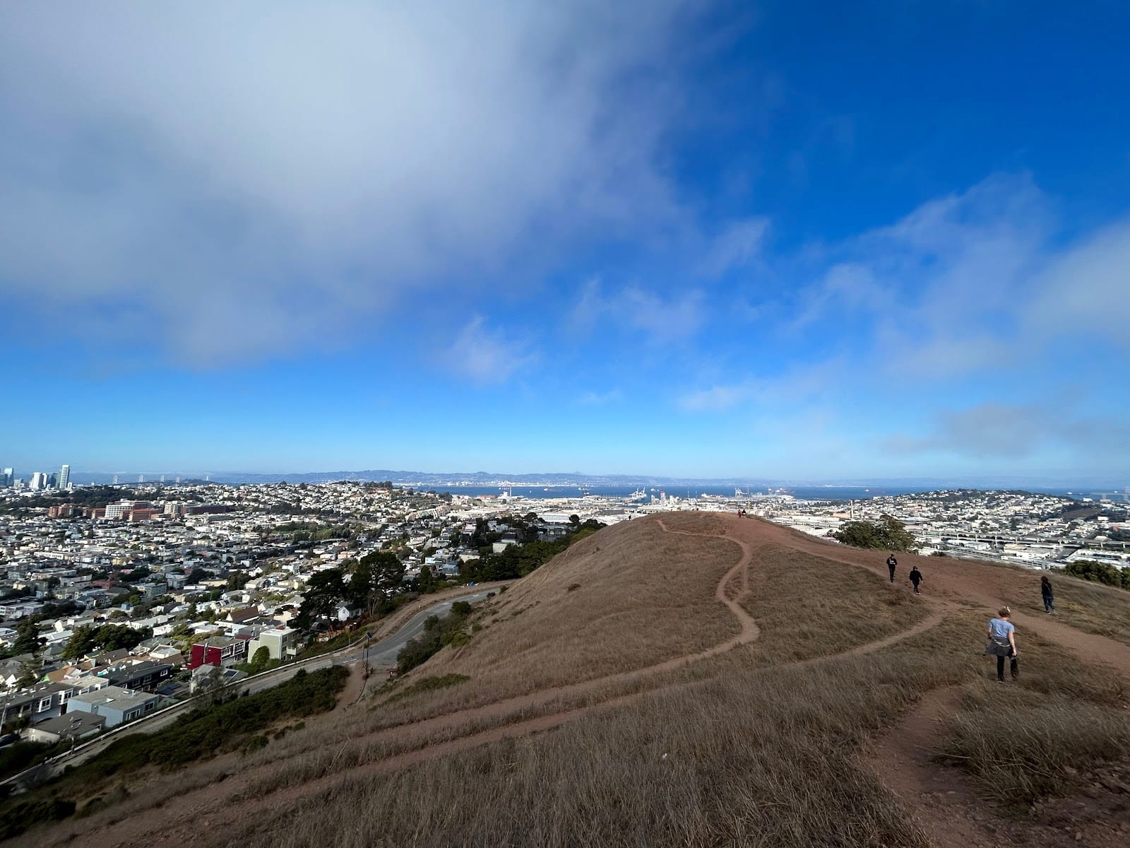 Bernal Heights Dog Play Area