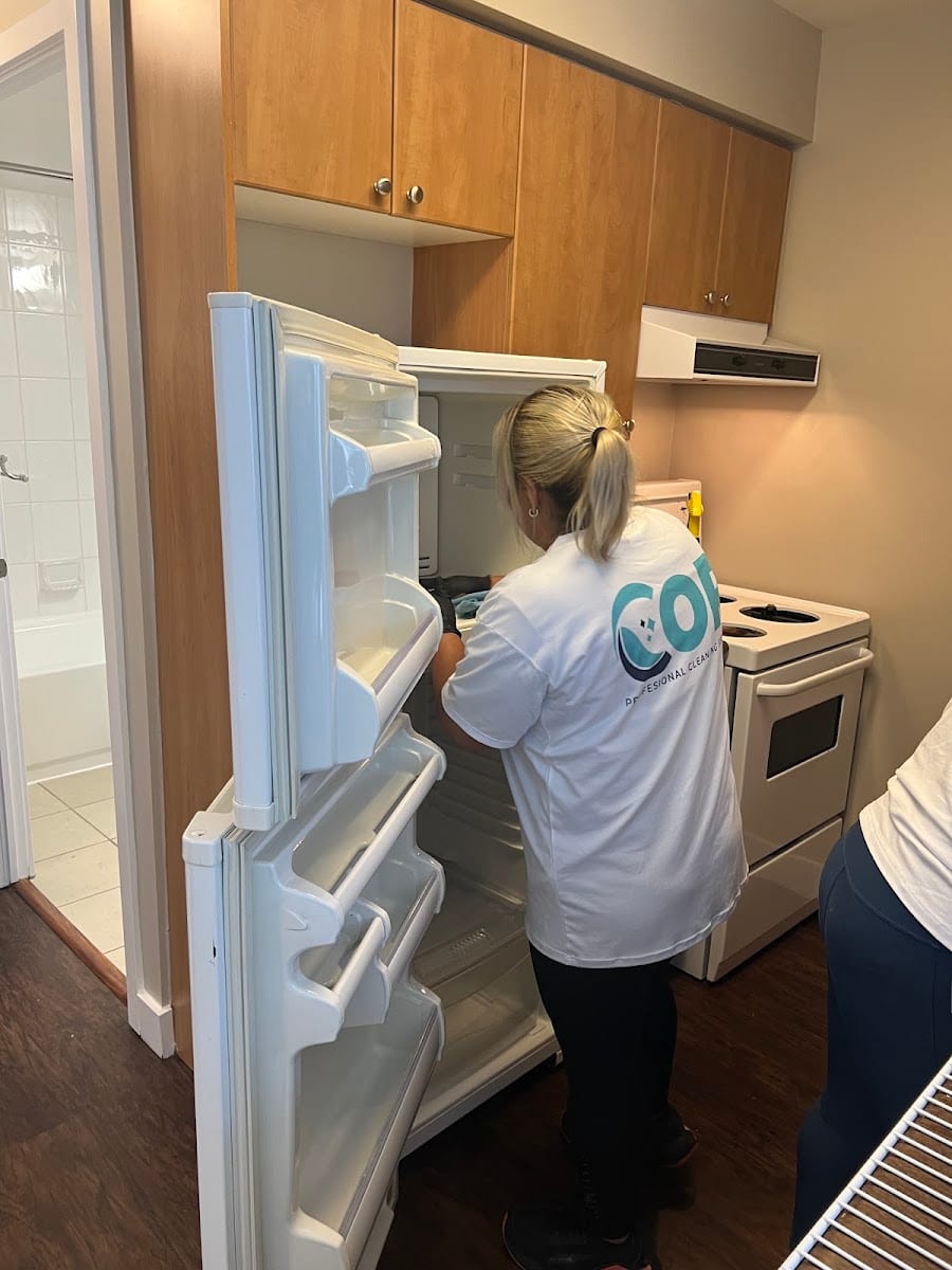 COR cleaning service, photo 4