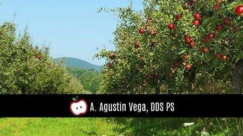 A. Agustin Vega, DDS PS