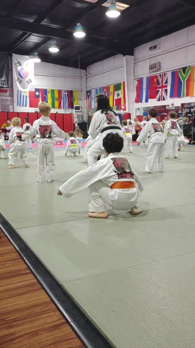 Red Tiger Martial Arts, photo 3