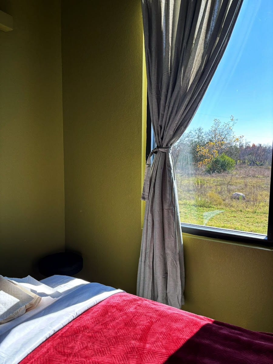 Golden Massage, photo 4