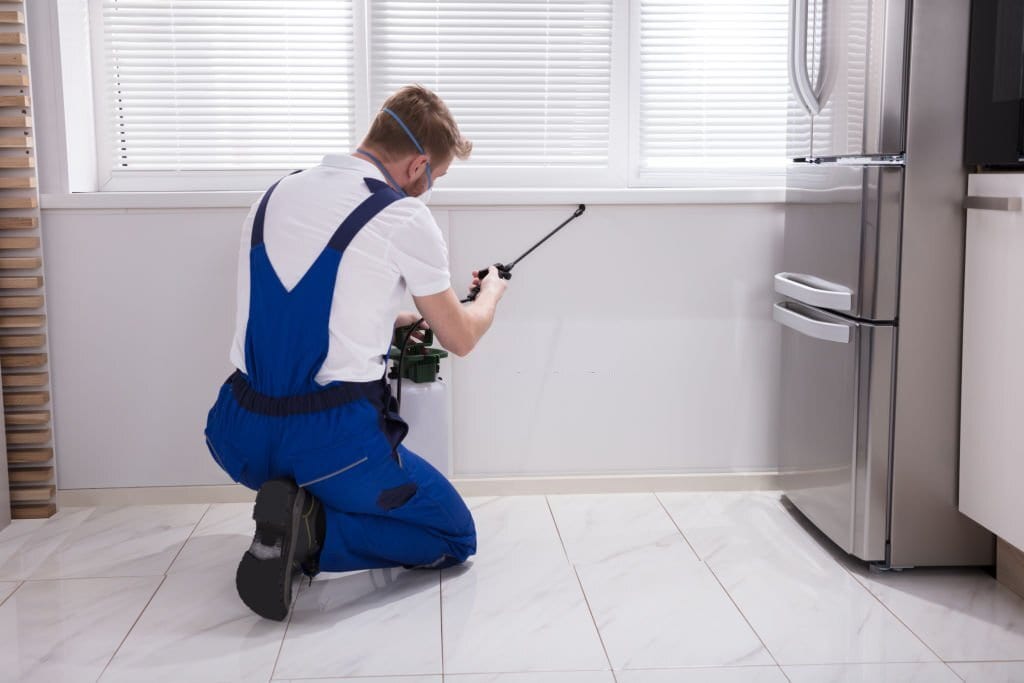 Total Pest control Little Elm
