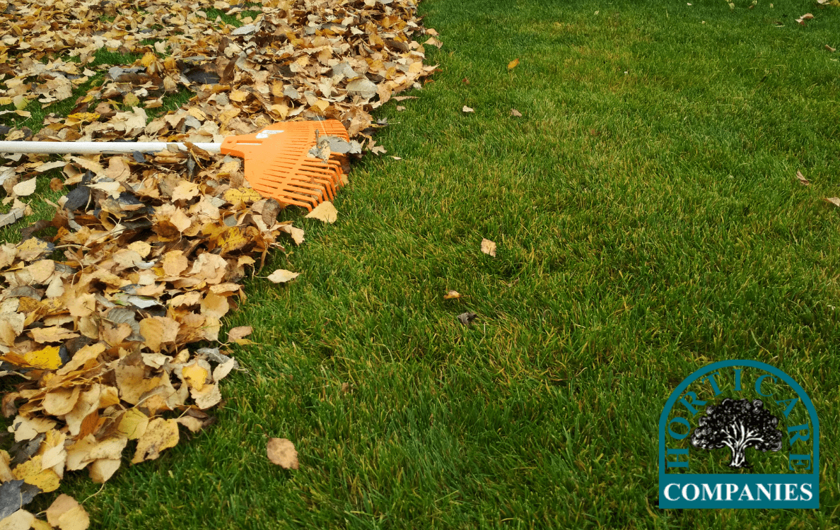 Horticare Landscape Companies, photo 3