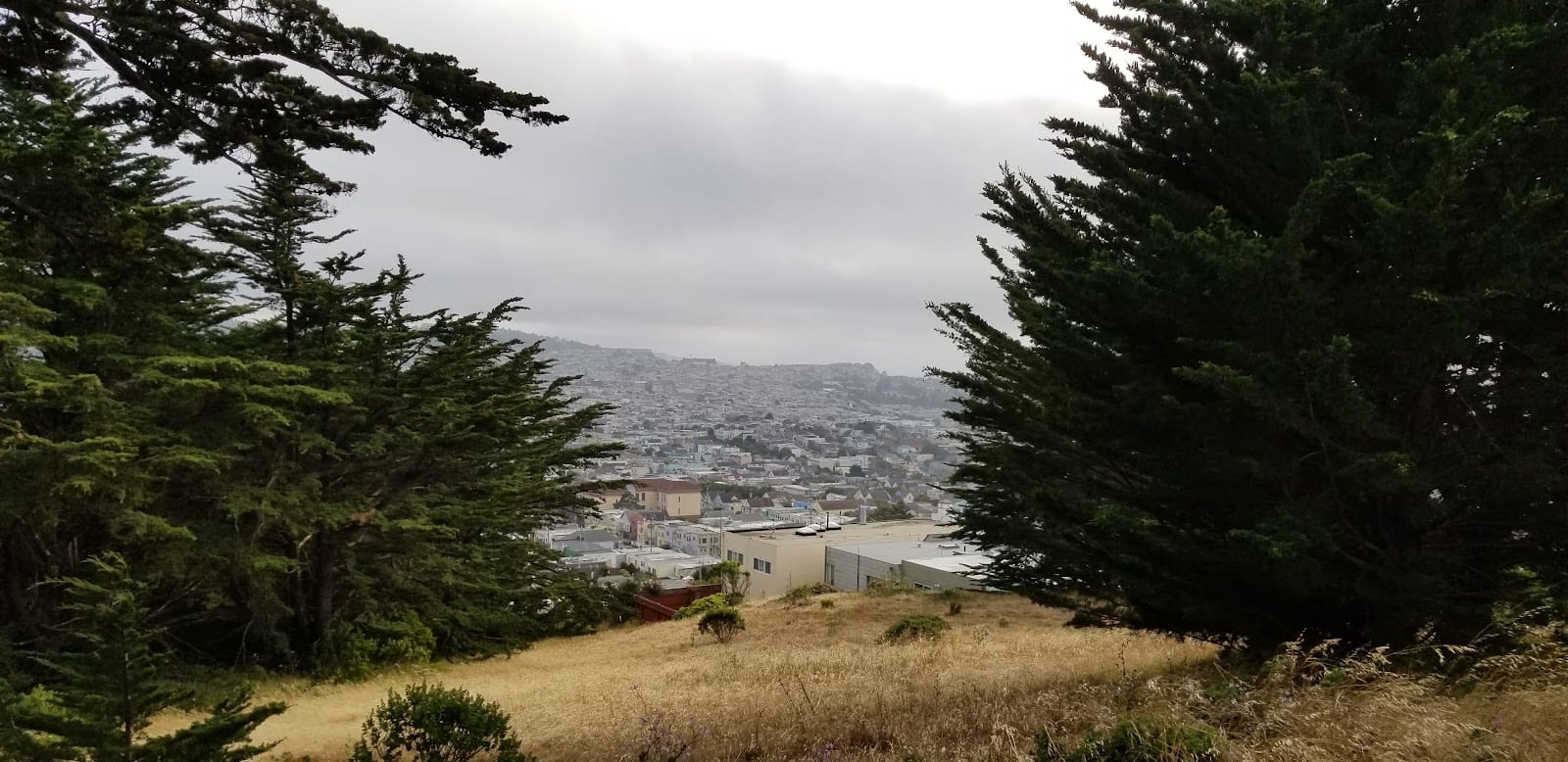Excelsior Playground Park, photo 2