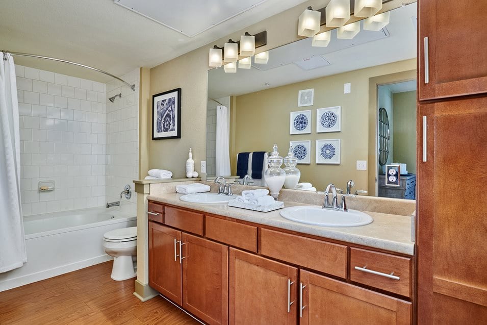 Acadia at Cornerstar Apartments, photo 3