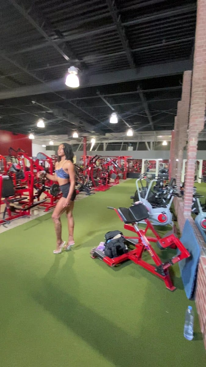 MI40 Gym, photo 3