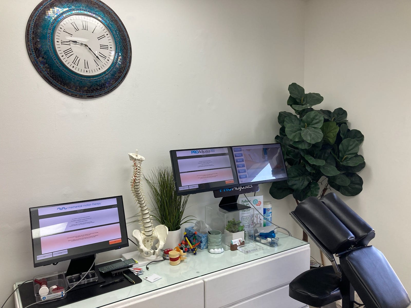 Bee Ridge Chiropractic, PLLC, photo 3