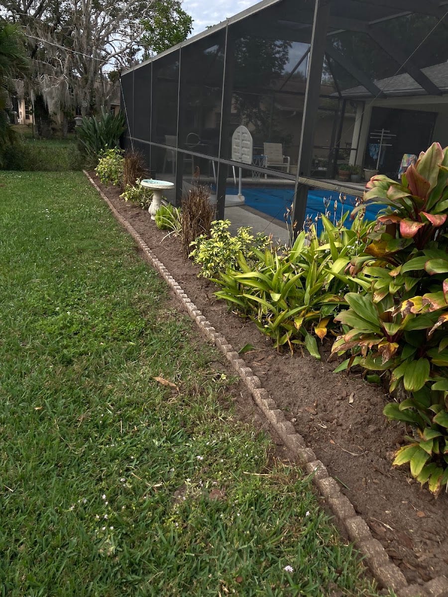 Amplified Termite & Pest Control LLC