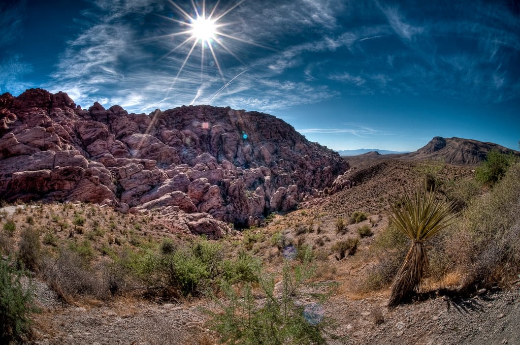 Real Estate Consultants of Nevada - R.E.C.O.N., photo 4