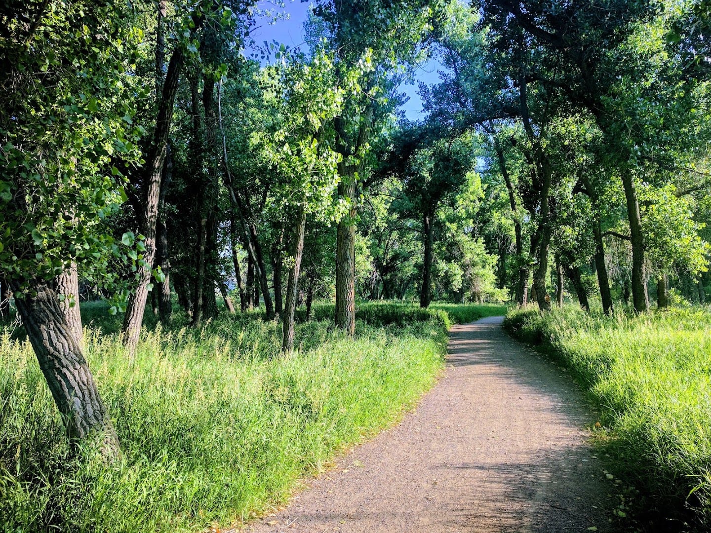 Parker Jordan Centennial Open Space