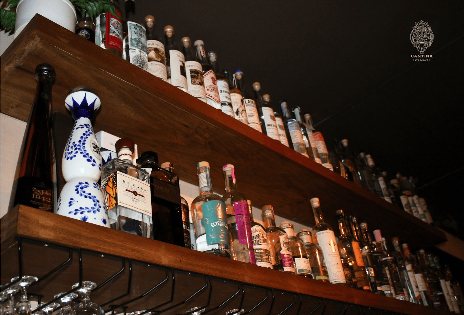 Cantina Los Mayas, photo 2