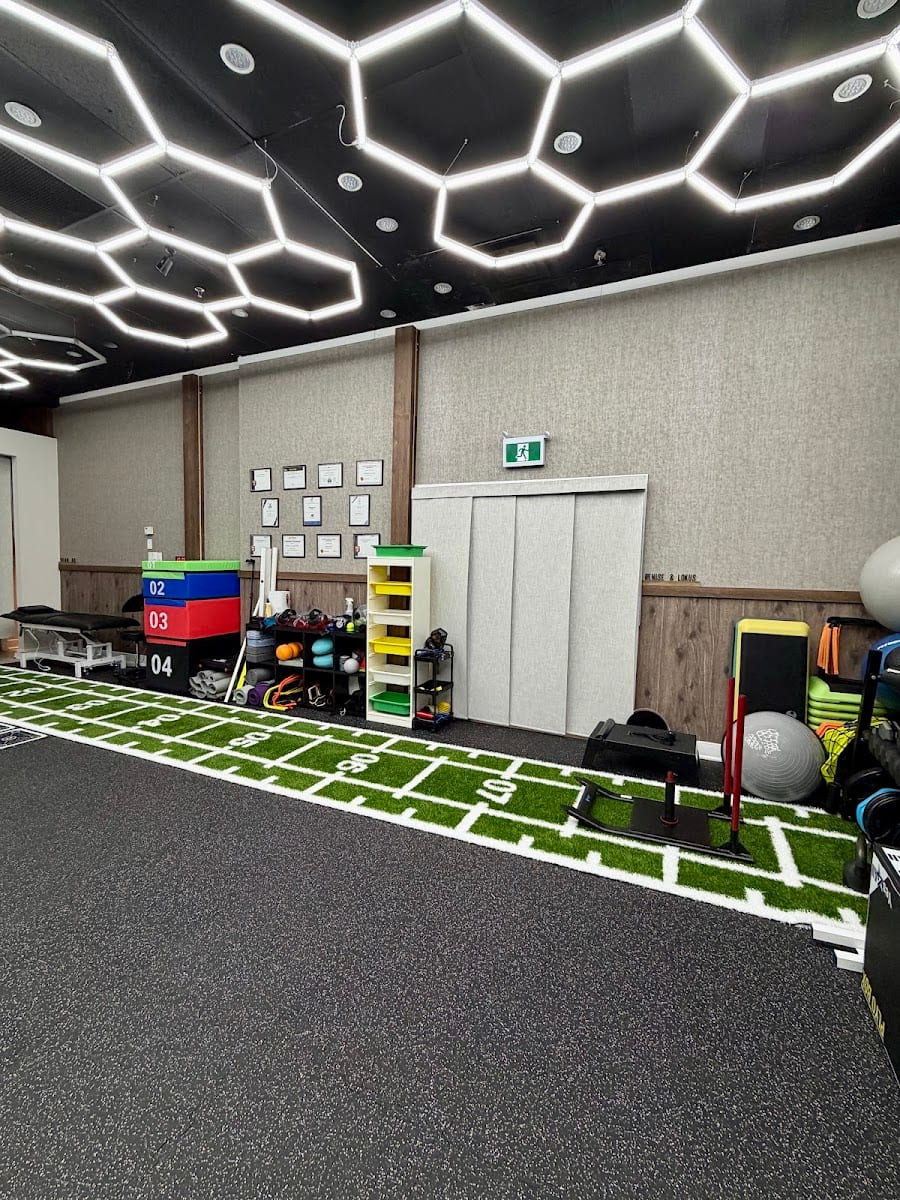 TRIMOTION SPORTS CLINIC | Dr. Phoenix Wong Chiropractic Richmond Hill, photo 3