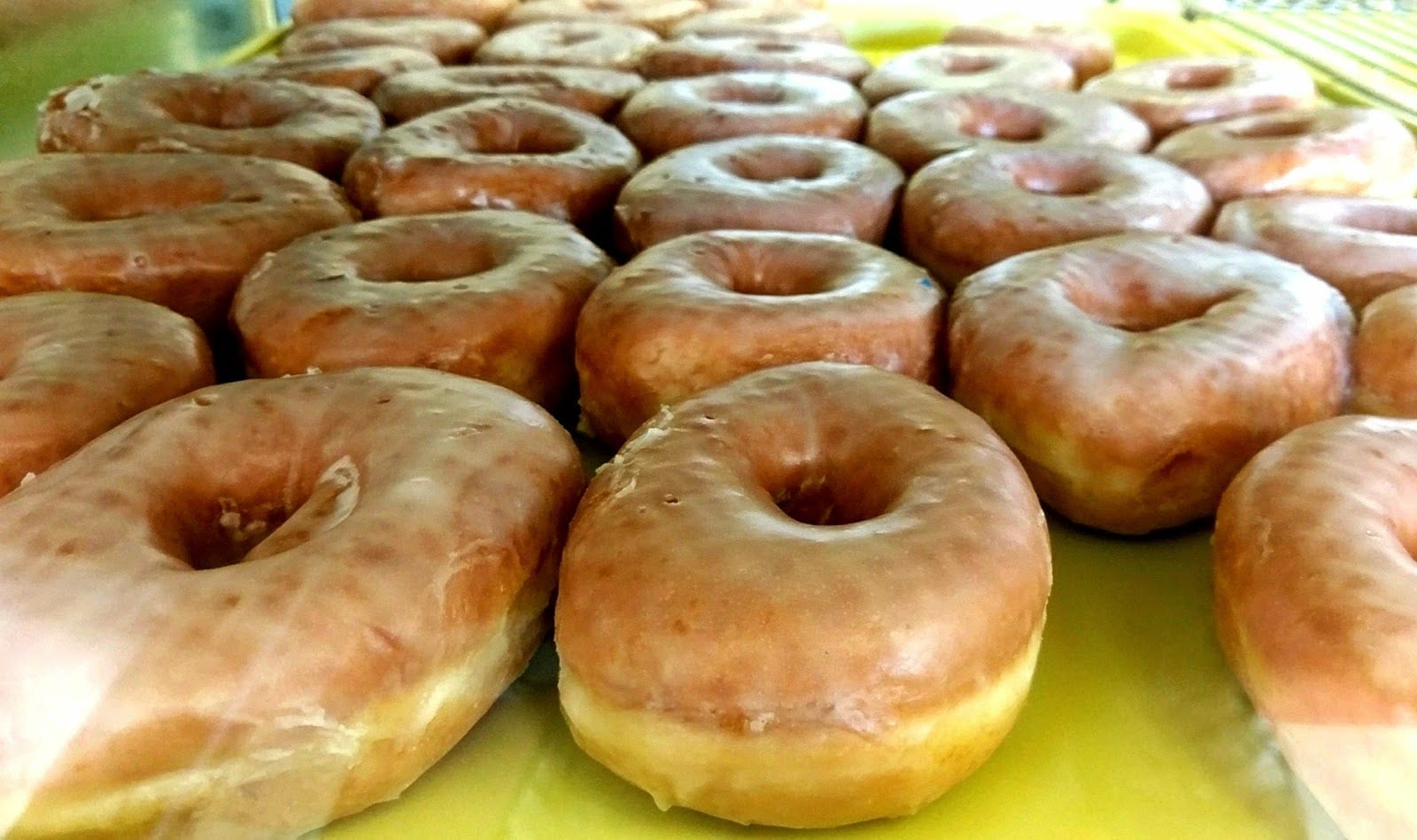 Donut Palace