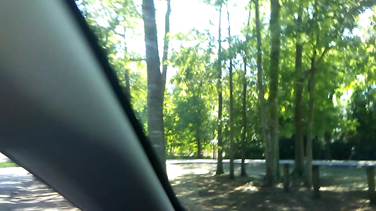 Lefler Park, photo 2