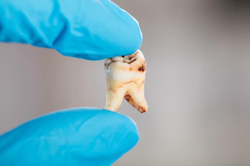 Highland Dental, photo 4