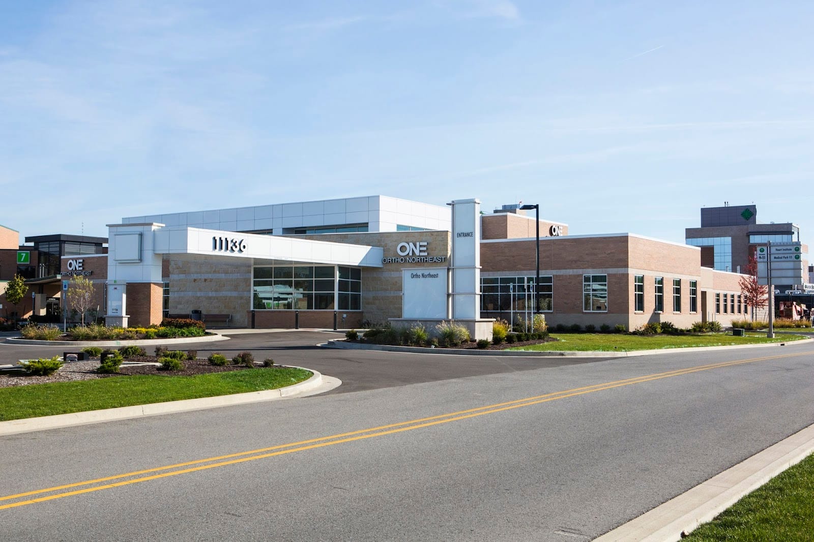 Ortho NorthEast | ONE, photo 2