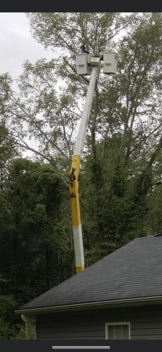 American Tree Service, photo 4