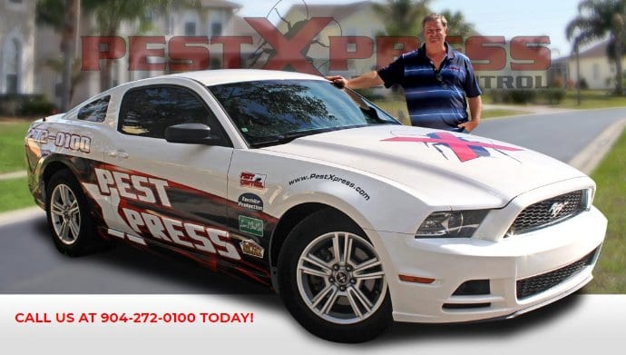 Pest Xpress Inc