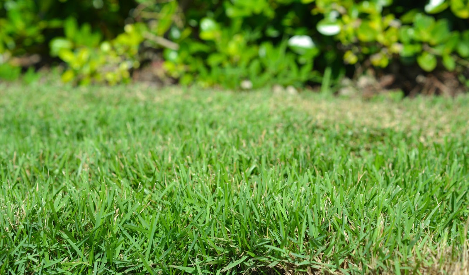 MRT Landscape Design and Installation Division