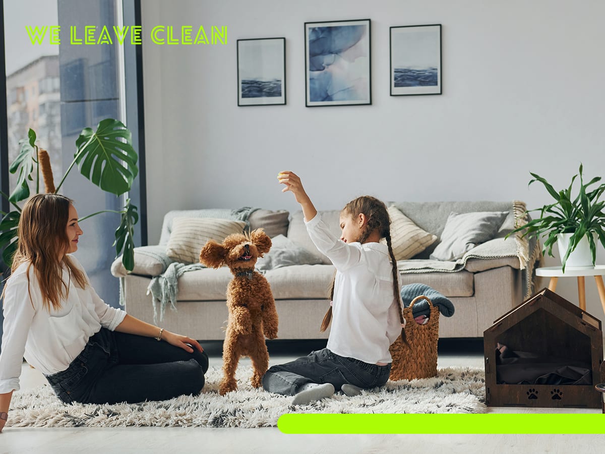 We Leave Clean
