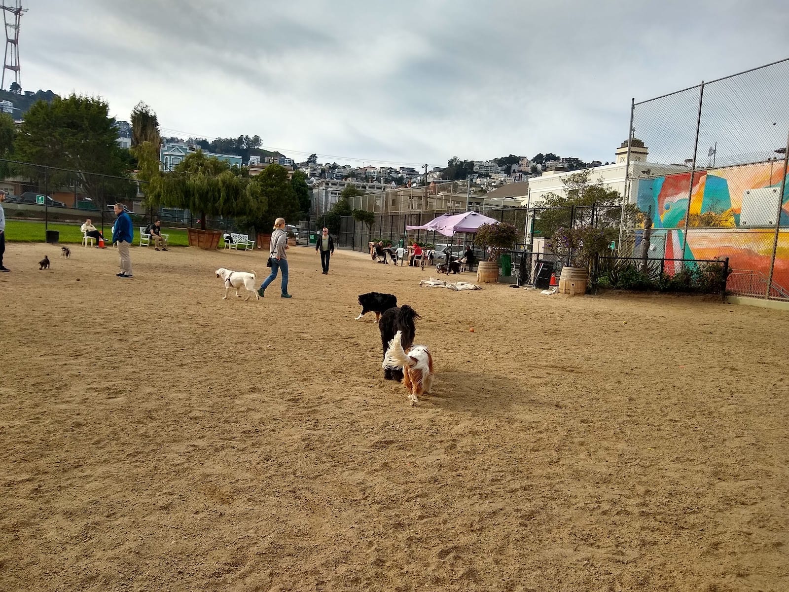 Eureka Valley Dog Play Area, photo 3