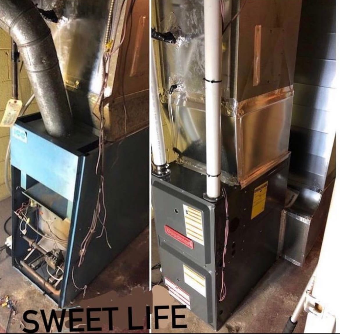Sweet life company, photo 2